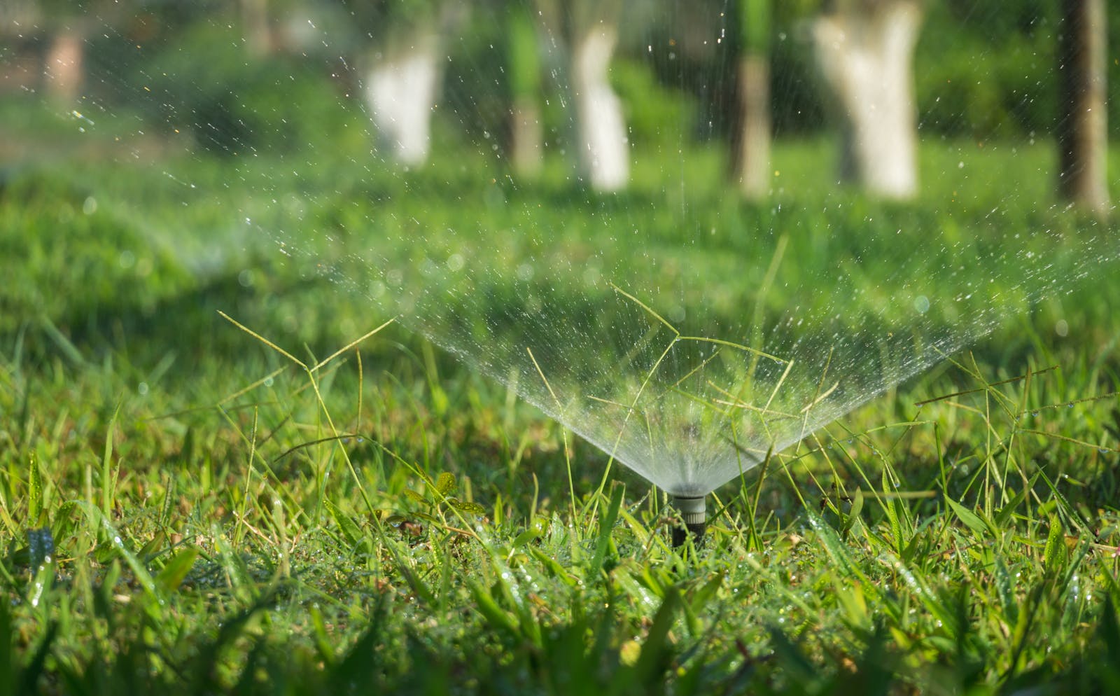 Sprinklers, Irrigation System